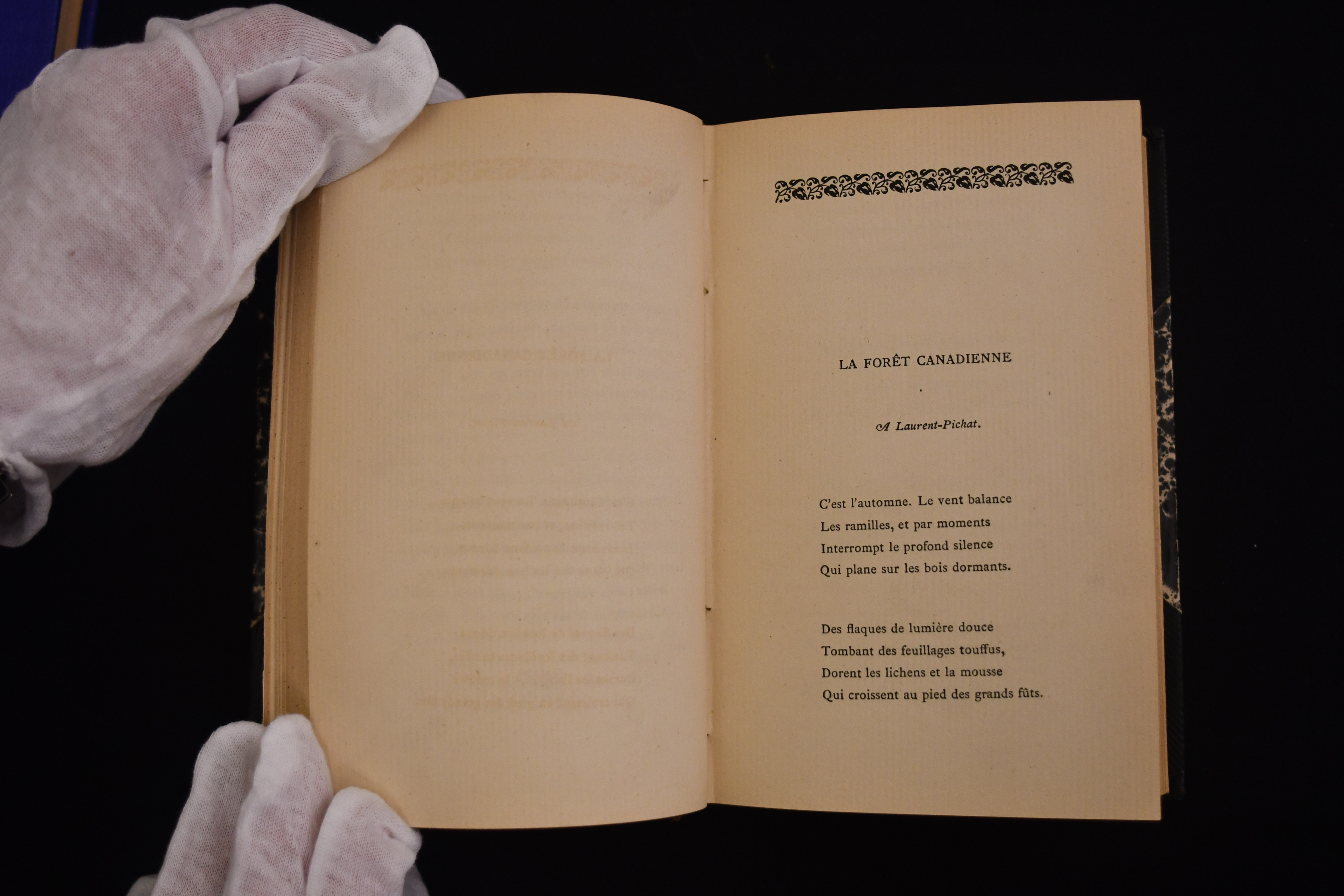 Le poème « La forêt canadienne » 