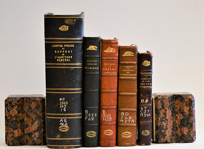 Différentes versions du motif de castor sur les livres