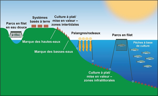 Ce graphique montre quatre types d’aquaculture : les parcs en filet en eau douce et les systèmes basés à terre; les installations conchylicoles à culture à plat dans les zones intertidales; les palangres, parcs en filet et opérations de repeuplement en eau libre; et les zones de croissance des mollusques à culture à plat dans les zones infralittorales.